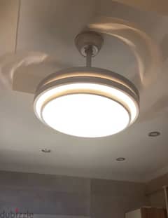 Fan Ceiling Lamp - silver