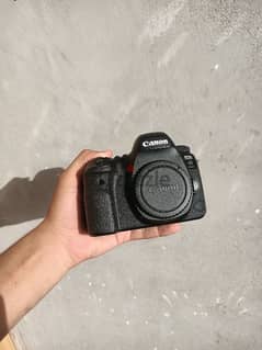 Canon 6D m ii
