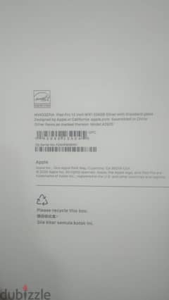 iPad Pro M4 2024 13 inch 256 GB silver