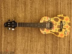 new Paul frank ds -35 ukulele mini guitar