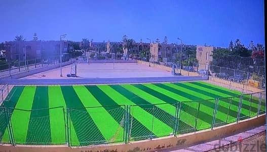 للايجار بجرين ليفز ك ٧٥