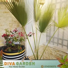 Diva Garden