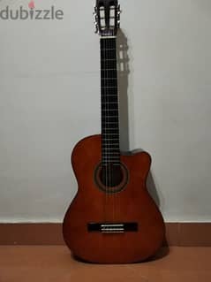 guitar valencia established