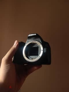 canon 250d + kit lens + extra battery (beston)