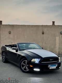 Mustang for rent