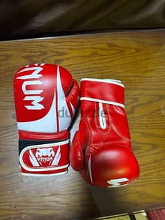 Boxing Gloves 14 oz
