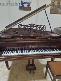 baby Grand Professional Coda for pianists