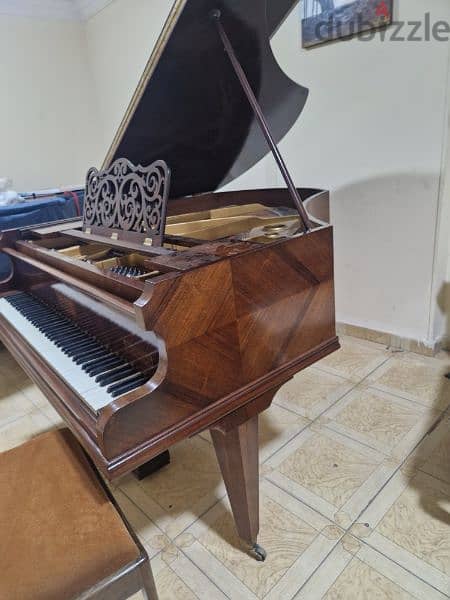 baby Grand Professional Coda for pianists 8