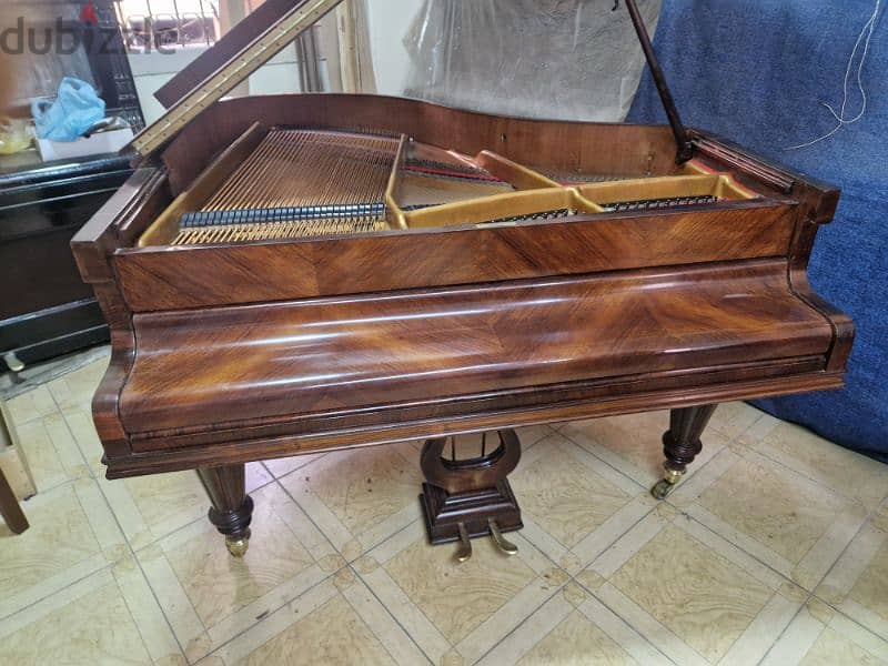 baby Grand Professional Coda for pianists 9