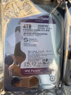 HDD 4 TB purple