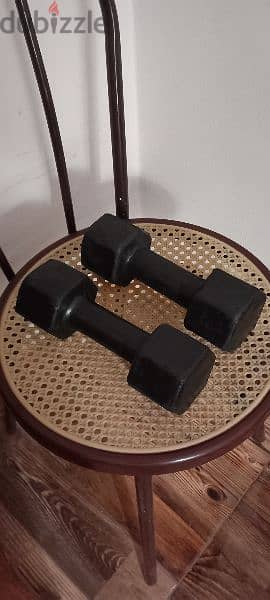 Dumbbell set of 2 pieces, 5 kg each - Get the body shape you want 0