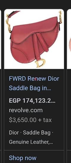 Dior Saddle Bag Original from France