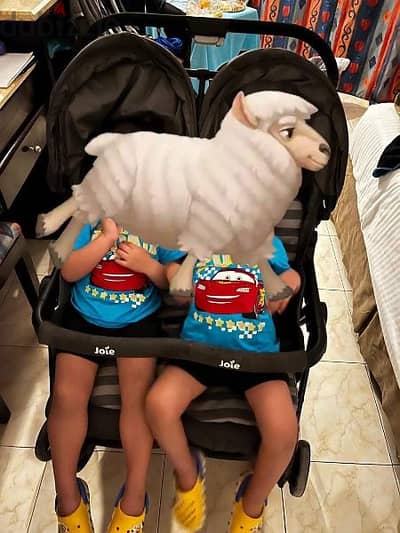 twins stroller