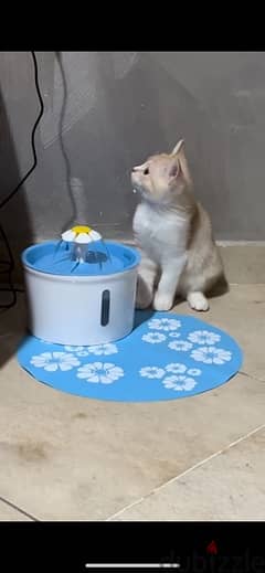 pet water fountain with filters - cat water bowl نافورة مياه للقطط
