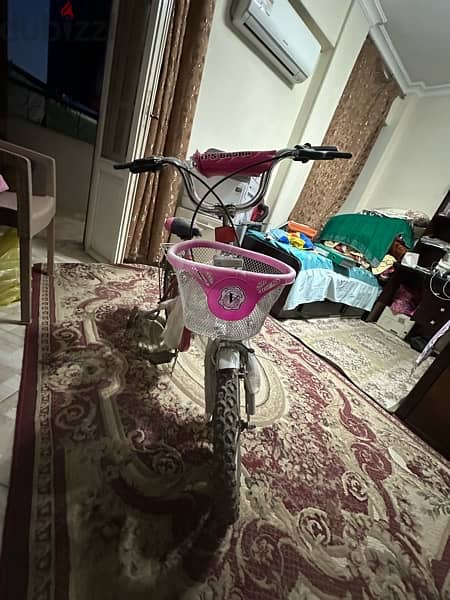 فرصه لسرعه البيع تم تنزيل السعر دراجه أطفال بناتي ماركه الباشا 3