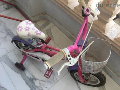 عجله بناتي أبو الجوخ