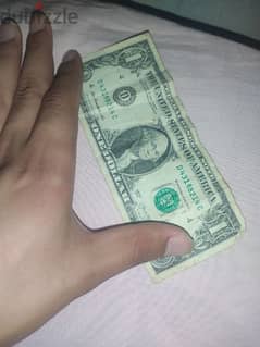 دولار 2013