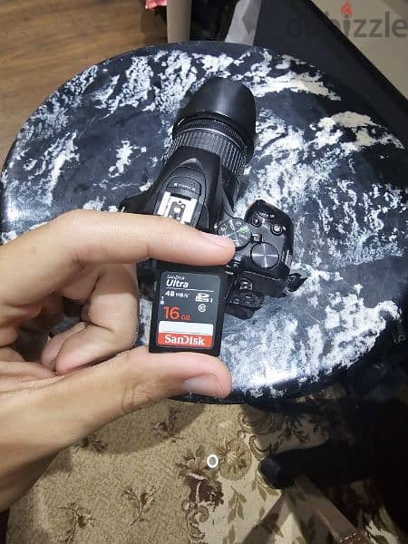 Nikon D5600 18-55mm kit lens, 70-300mm  f/4.5-6.3 3