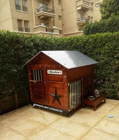 Dog house بيت كلب