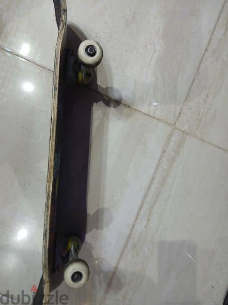 skate board 2