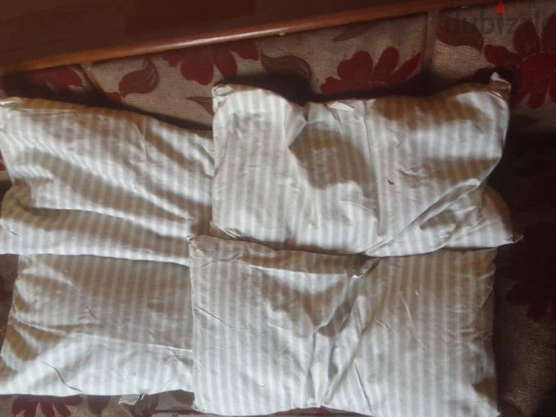 Luxurious ostrich feather pillows 1