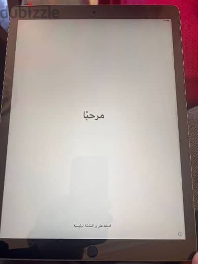 iPad pro (1st generation) 12.9 inch