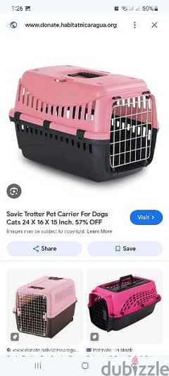 cat carrier box - بوكس قطط