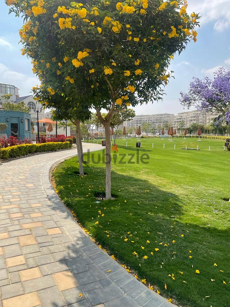 apartment for sale at mountain view icity under market price 2