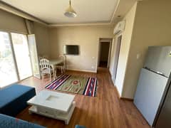 Studio for Rent in Hyde Park - 83 sqm, Fully Furnished,  2 Bedrooms