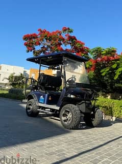 Raya golf cart model 2019 off road dark blue in a great condition