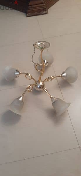 نجفه lamp 1