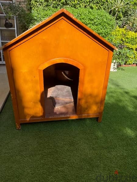 Dog house 1
