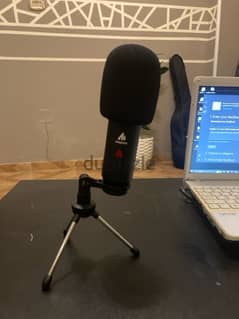 professional microphone podcast