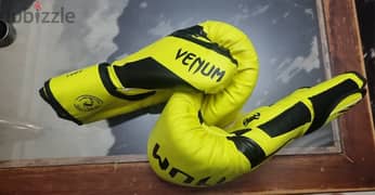 VENUM 14 Oz boxing gloves