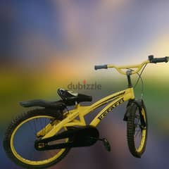 Ferrari bicycle for you