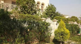 Twin house for sale 350 m Zayd ( Compound Greens)