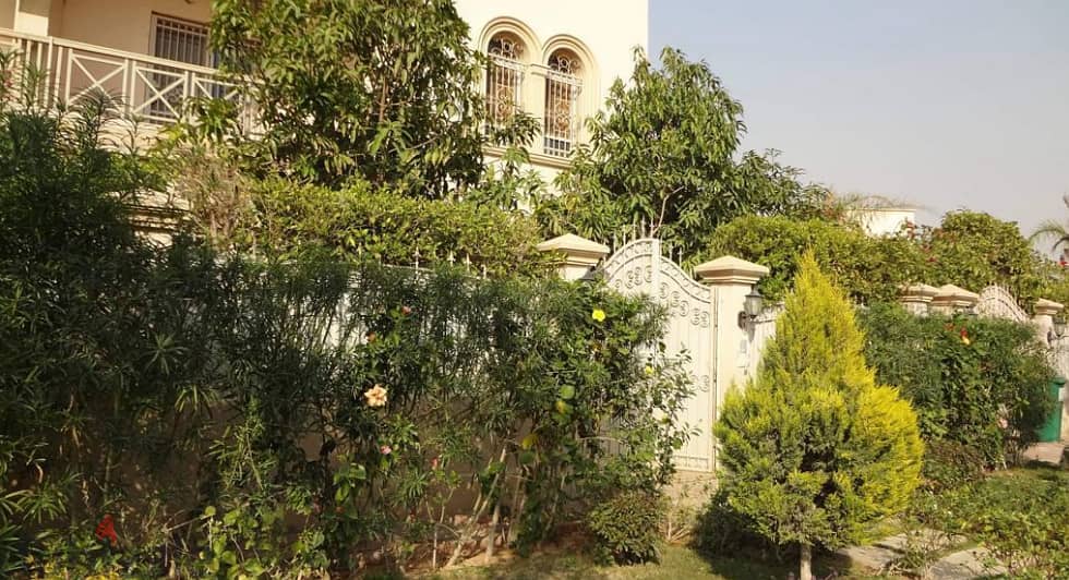 Twin house for sale 350 m Zayd ( Compound Greens) 0