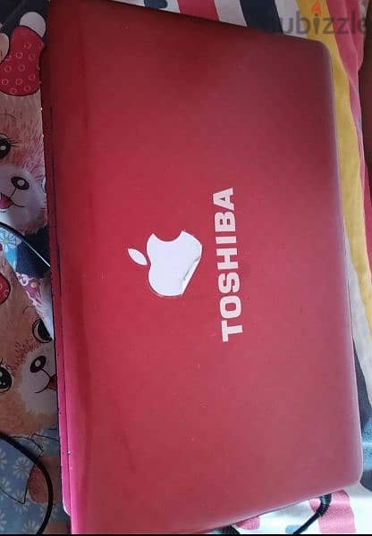 lap corei5 toshiba 1