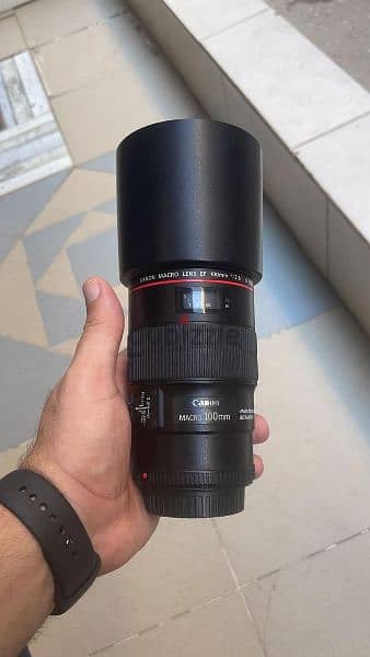 Canon EF 100mm F/2.8L Macro IS USM Lens 2
