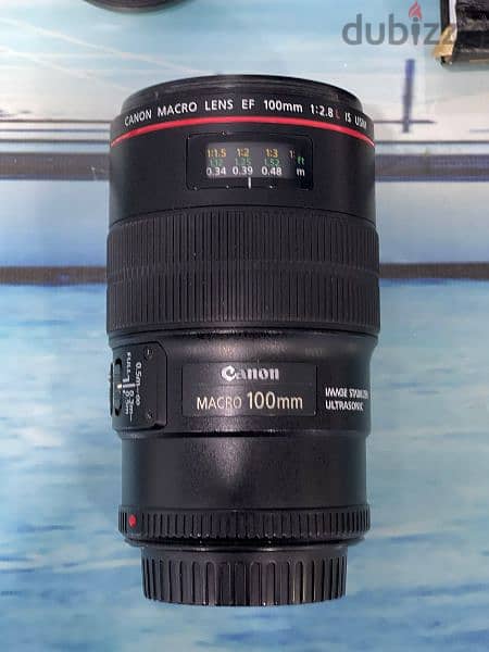 Canon EF 100mm F/2.8L Macro IS USM Lens 4