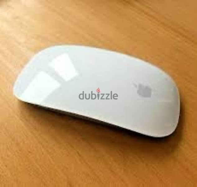 Apple keyboard and Apple mouse 1