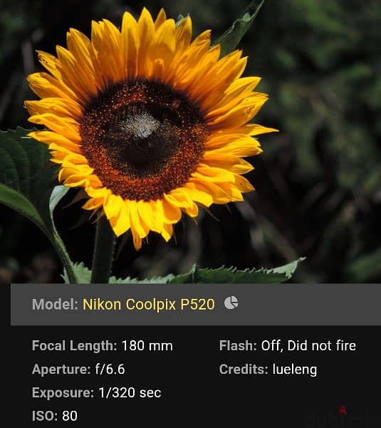 لسرعة البيع نيكون كولبيكس 520p Nikon Coolpix 520p 7