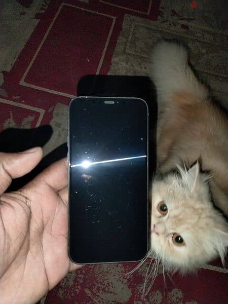iPhone 12 128. GB black 3