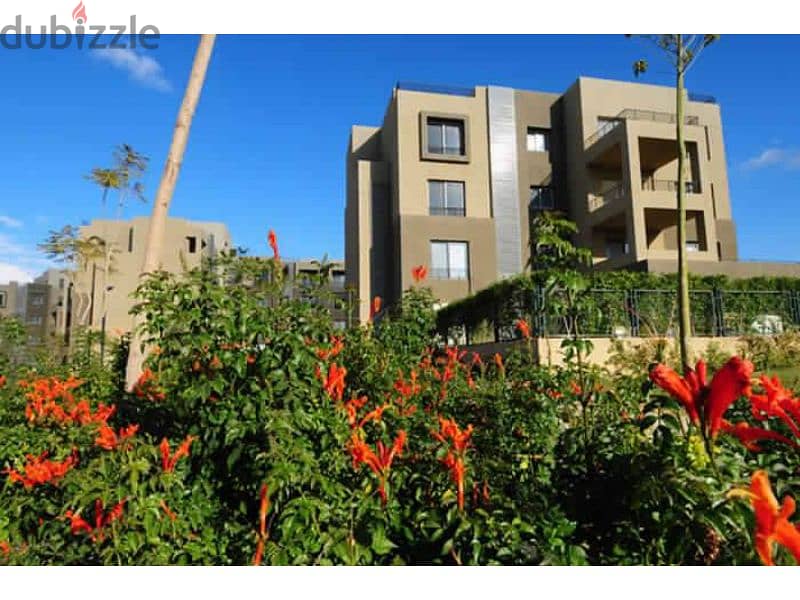 Apartment with garden for rent with kitchen Palm Hills Palm Parks 7