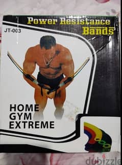 Home Gym Extreme Rubber bands