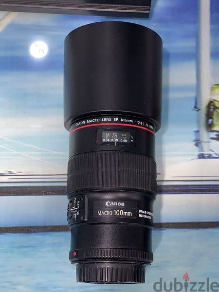 Canon EF 100mm f/2.8L Macro IS USM Lens 1