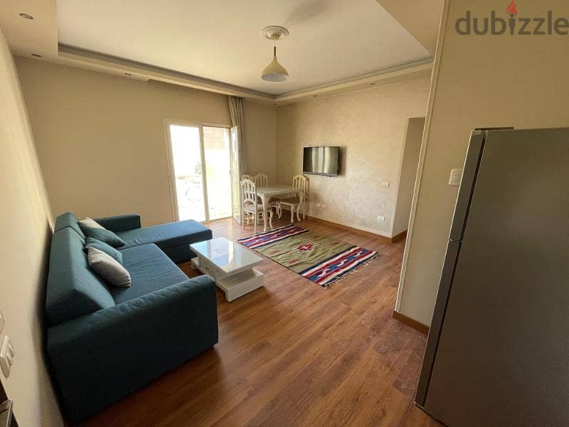 Apartment for rent in Hyde park ultra modern furnished . 3
