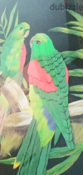 تابلوه مميز٨٣×٦٦تكوينات الطيوربخامات فنيةفريم شيك جدا 2