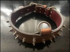 طوق كلب جلد طبيعي Dog collar genuine leather 100% 0