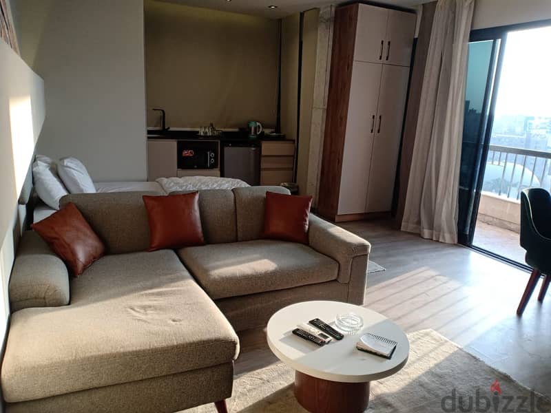 Furnished studio for rent in Zamalek on the Nile 2